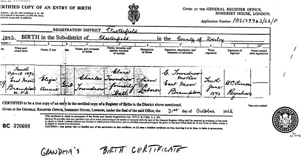Eliza Annie T - birth cert