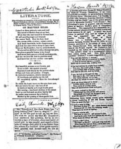 richard francis T a garden review