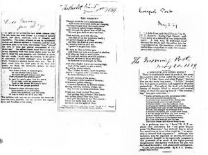 richard francis T a life a love review