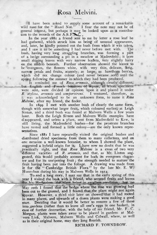 richard francis T poem rosa melvini